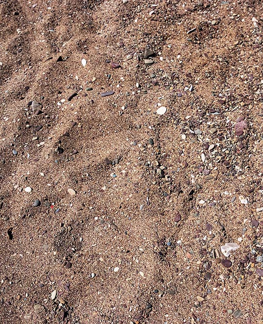 Spiaggia di Nisportino, Elba